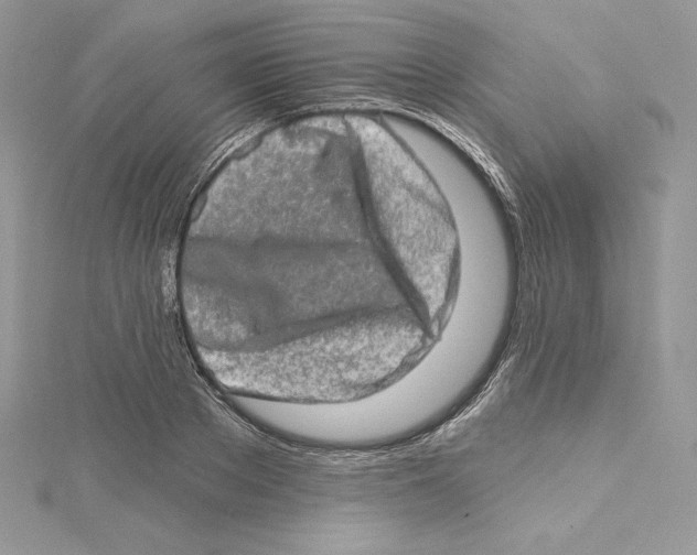 X0000114650889200911171048