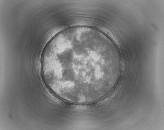 X0000114650890200911171048