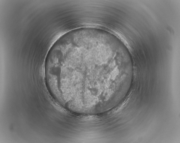 X0000114650891200911171048