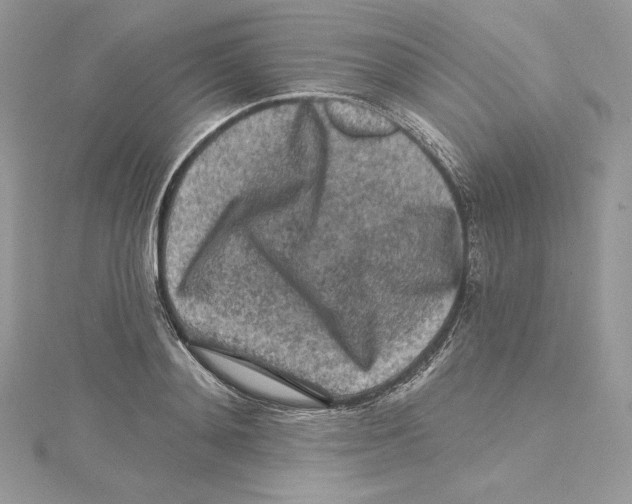 X0000114650892200911171048