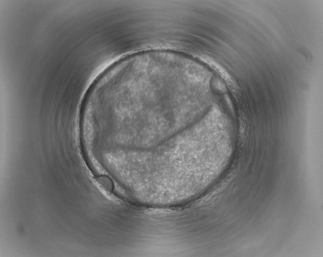 X0000114650894200911171048