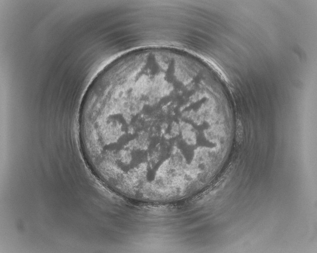 X0000114650895200911171048