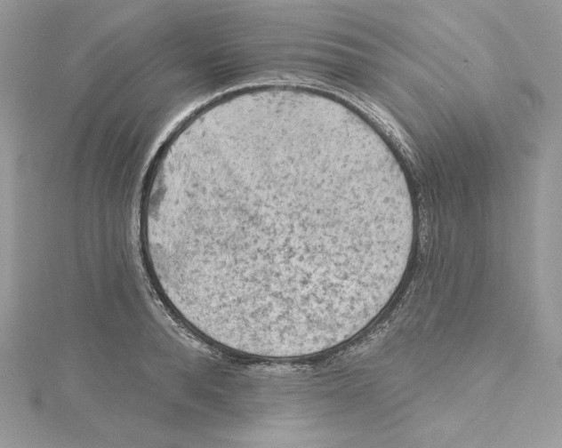 X0000114650896200911171048