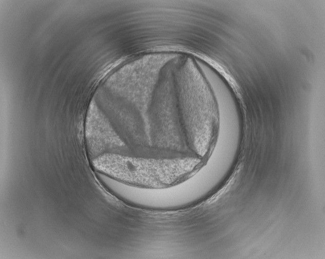 X0000114650897200911171048