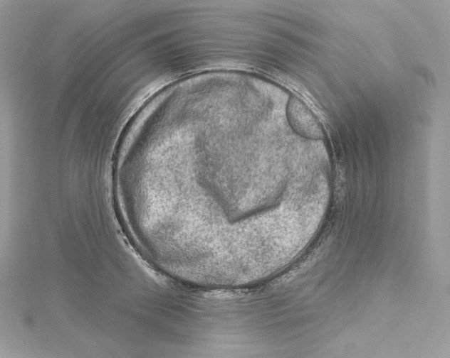 X0000114650898200911171048