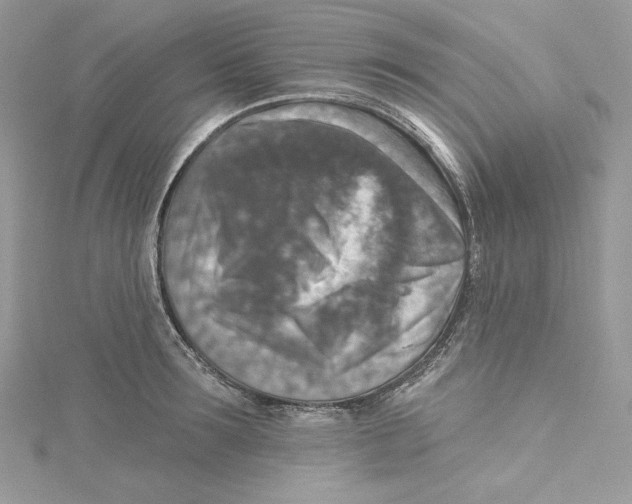 X0000114650899200911171048