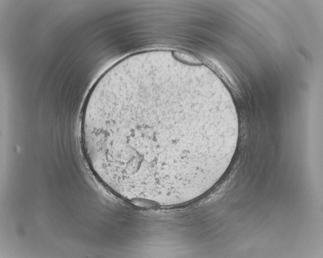 X0000114650900200911171047