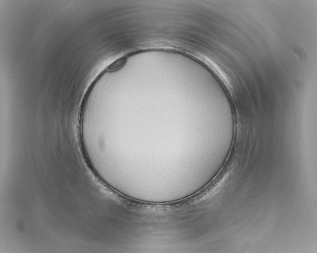 X0000114650901200911171047