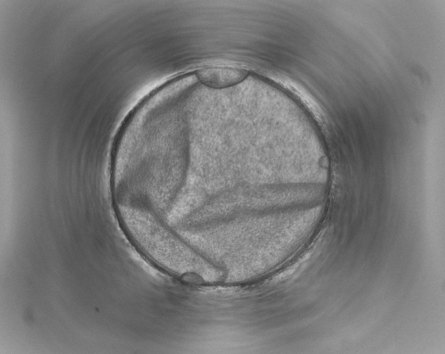 X0000114650902200911171047