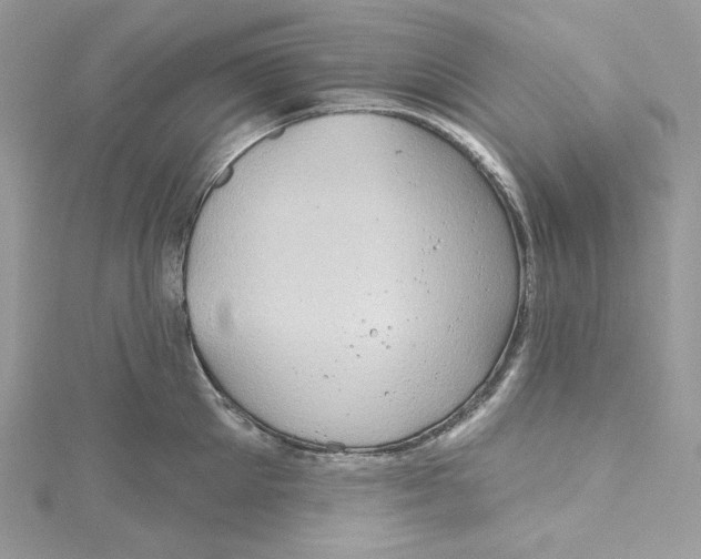 X0000114650905200911171047