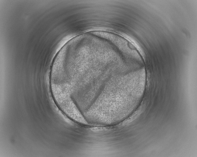 X0000114650906200911171047