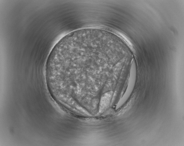 X0000114650907200911171047