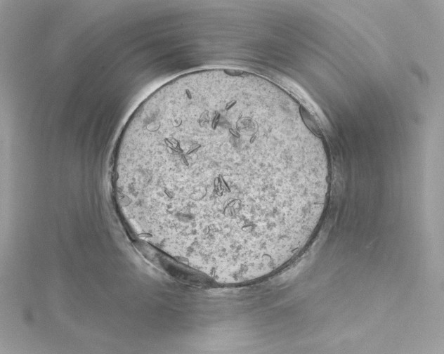 X0000114650908200911171047