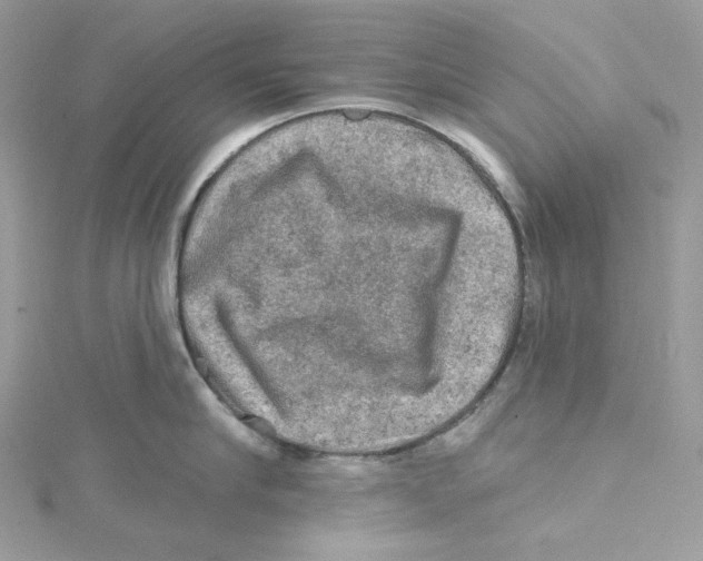 X0000114650910200911171047