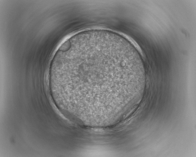 X0000114650911200911171047