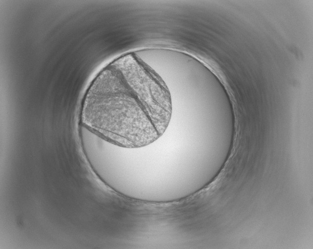 X0000114650912200911171047