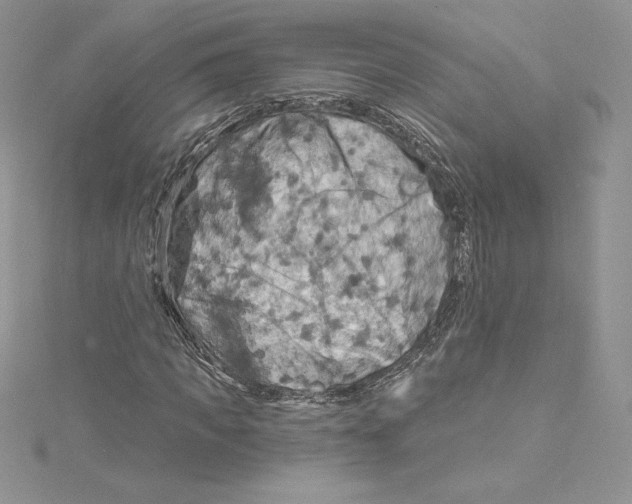 X0000114650917200911171047