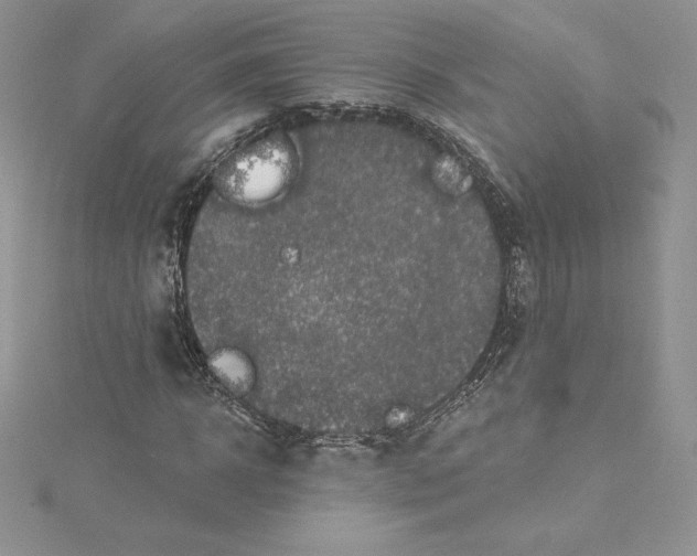 X0000114650918200911171047