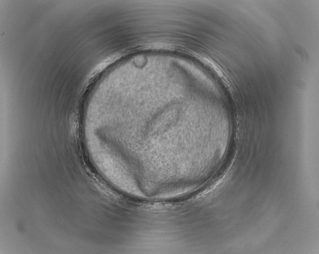 X0000114650922200911171047