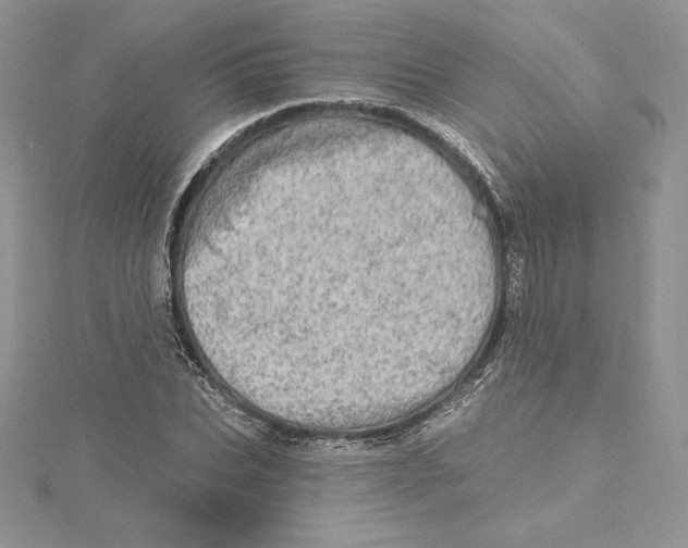 X0000114650927200911171047