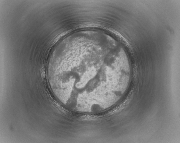 X0000114650929200911171047