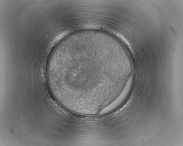 X0000114650930200911171047