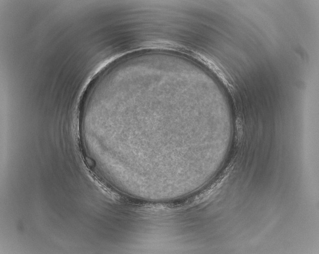 X0000114650931200911171047