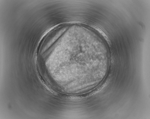 X0000114650933200911171047