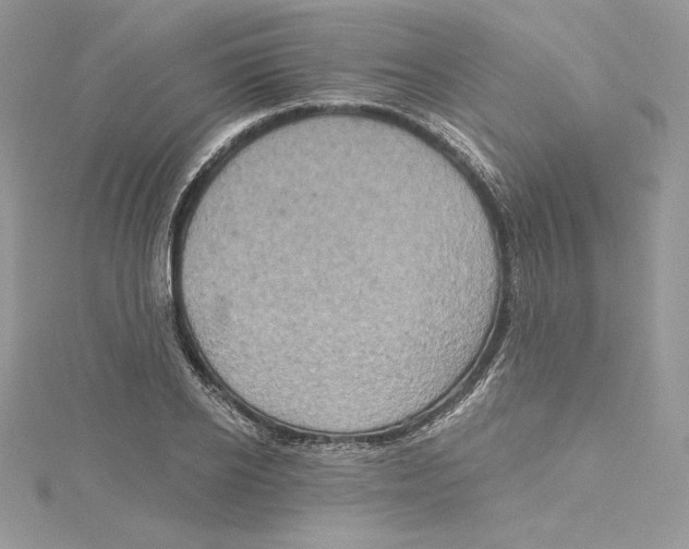 X0000114650934200911171047