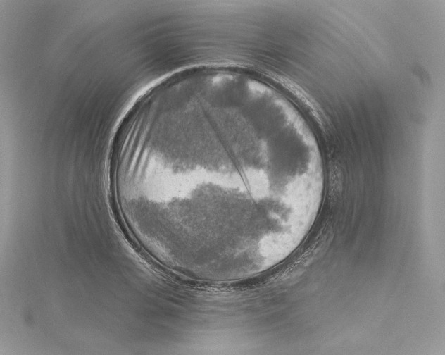 X0000114650935200911171047