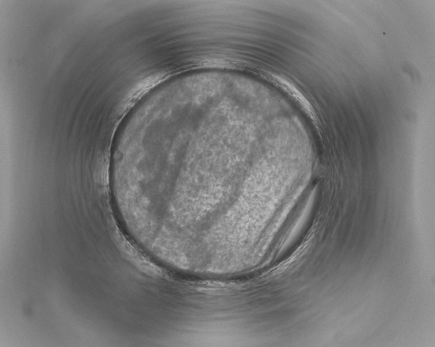 X0000114650938200911171047