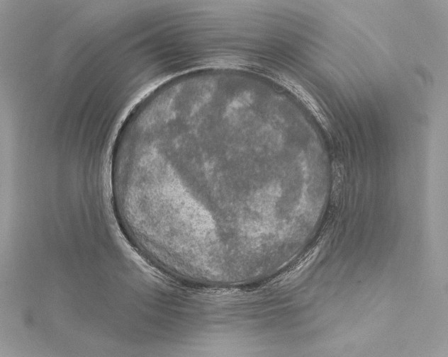 X0000114650939200911171047