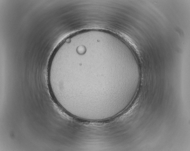 X0000114650942200911171047