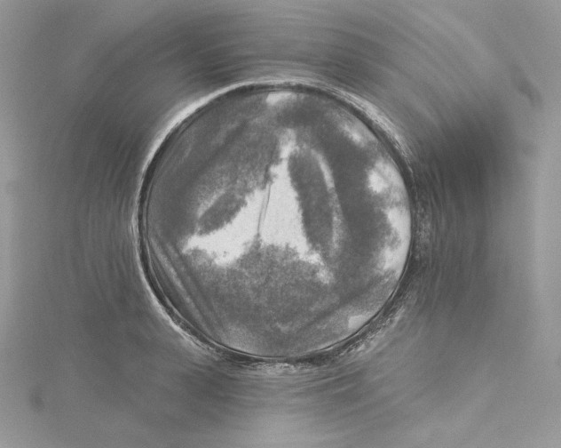 X0000114650943200911171047