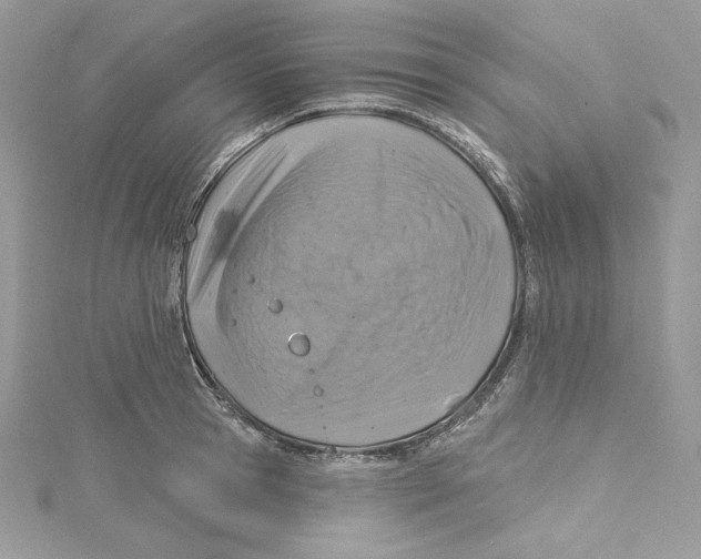 X0000114650945200911171047