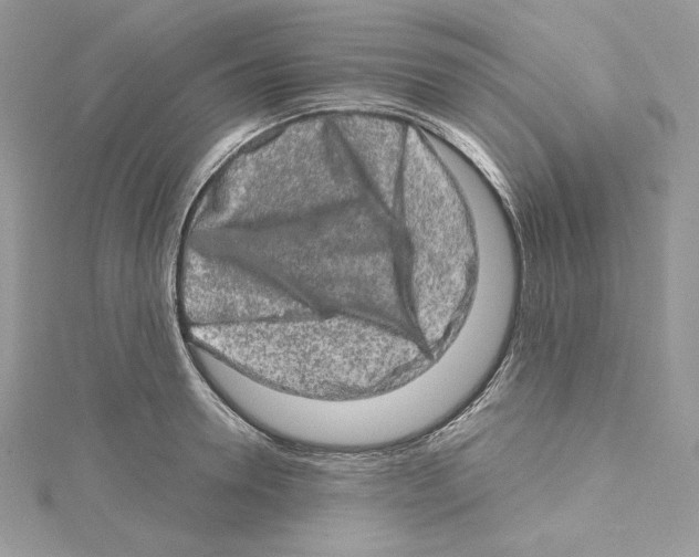 X0000114650946200911171047