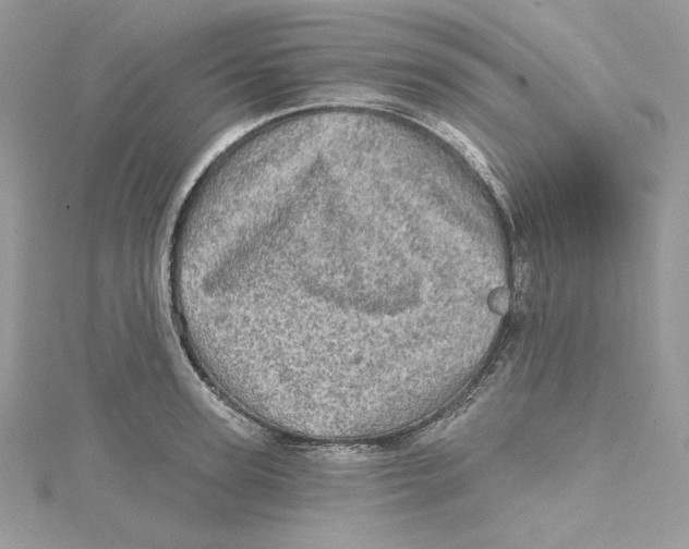 X0000114650947200911171047