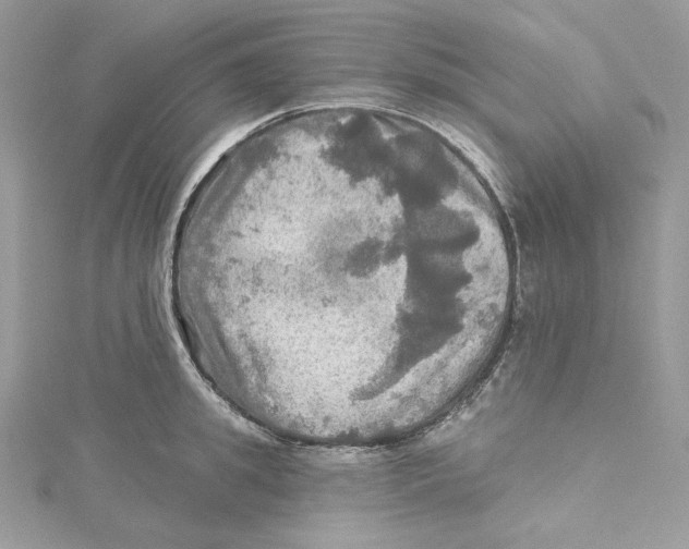 X0000114650949200911171047