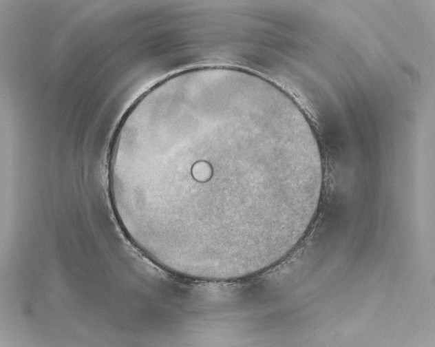 X0000114650950200911171047