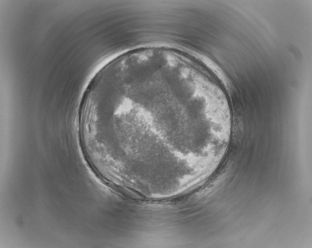 X0000114650951200911171047