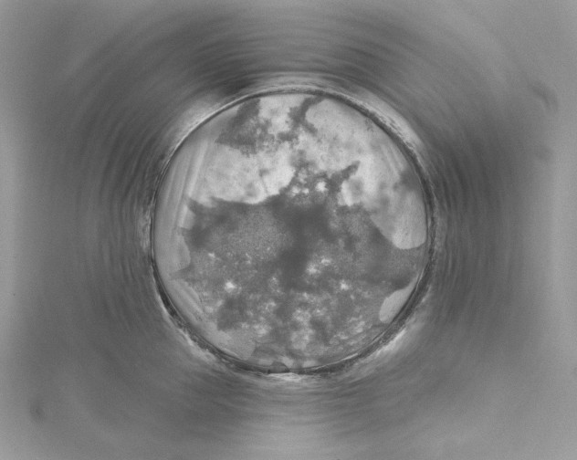 X0000114650953200911171047