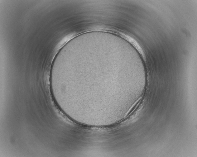 X0000114650954200911171047