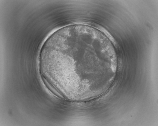 X0000114650955200911171047