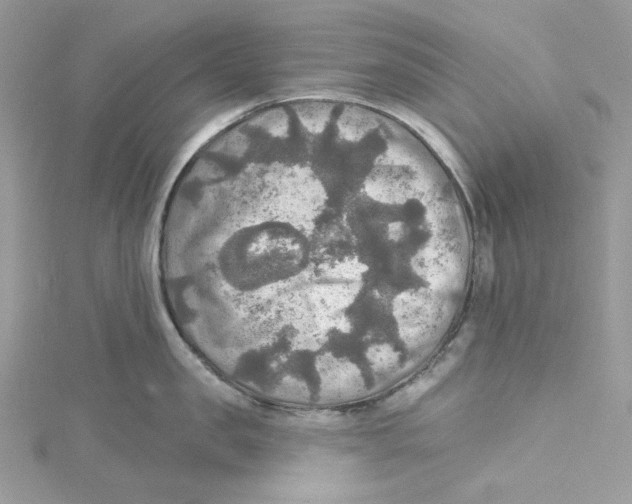 X0000114650957200911171047