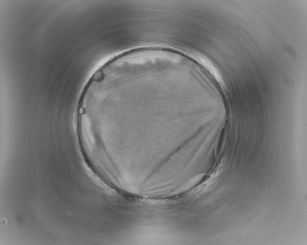 X0000114650958200911171047