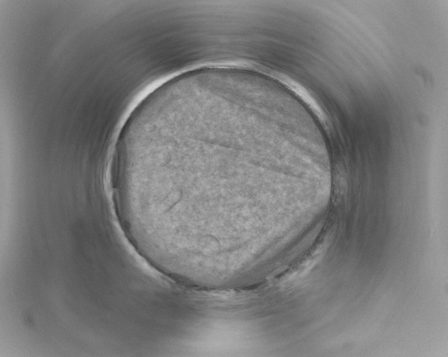 X0000114650959200911171047