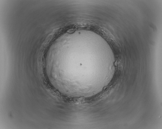 X0000114650961200911171047