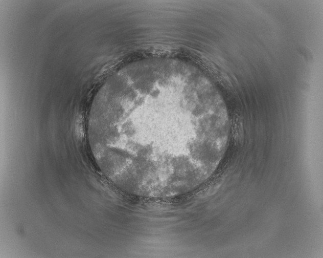 X0000114650962200911171047