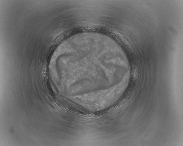 X0000114650964200911171047