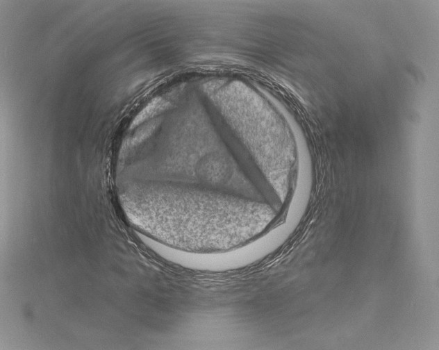 X0000114650965200911171047